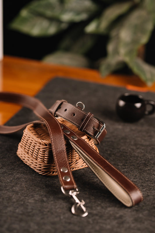 Classic Canine Collar & Leash (TAN)