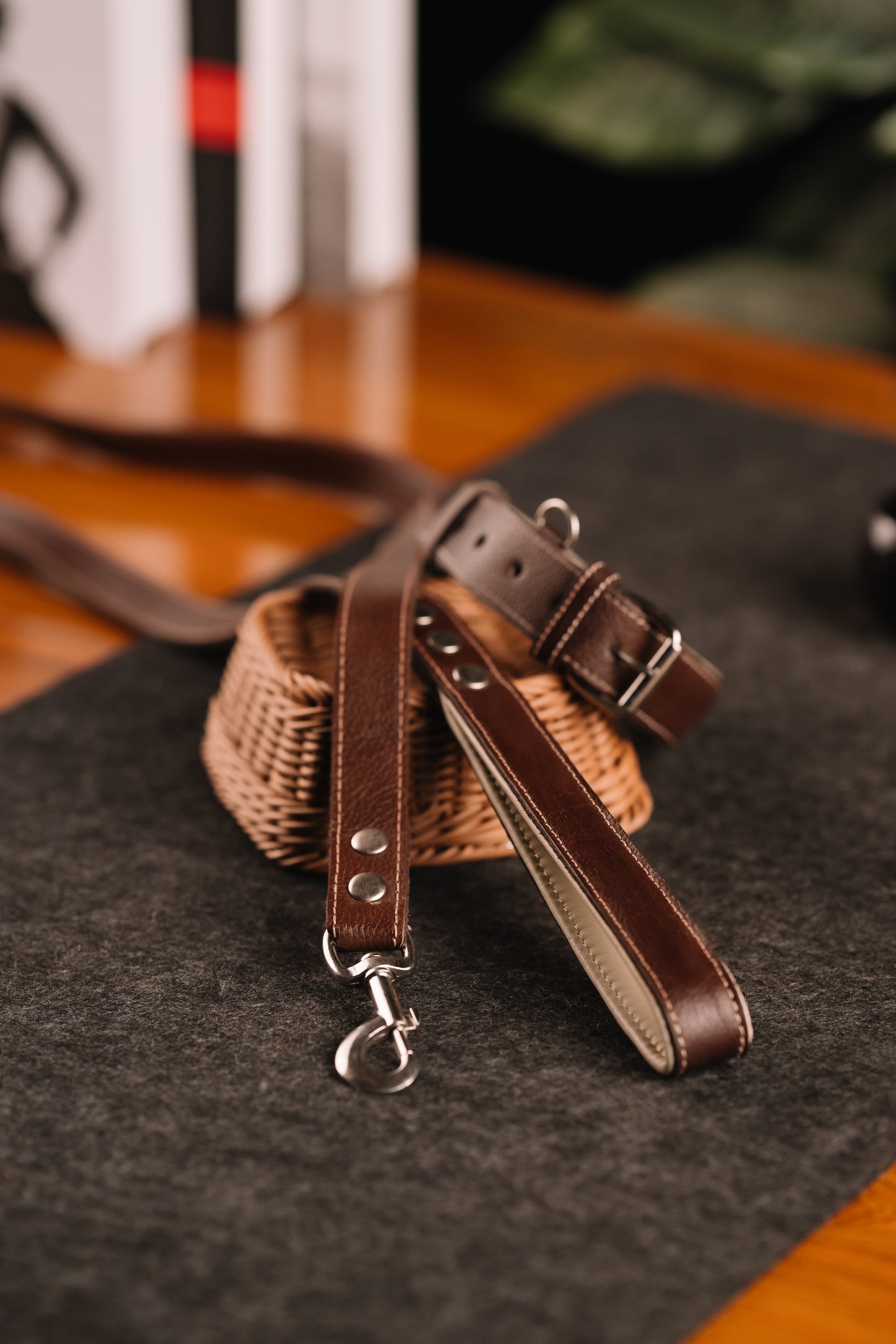 Classic Canine Collar & Leash (TAN)