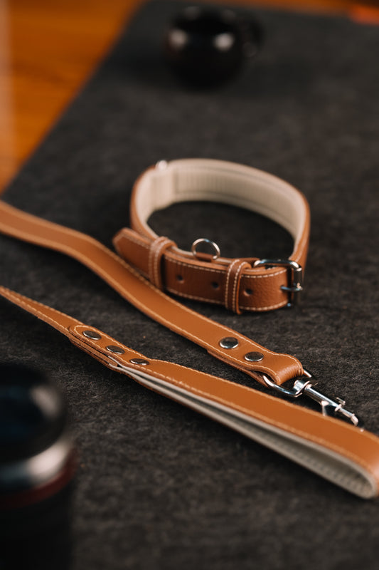 Classic Canine Collar & Leash (BROWN)